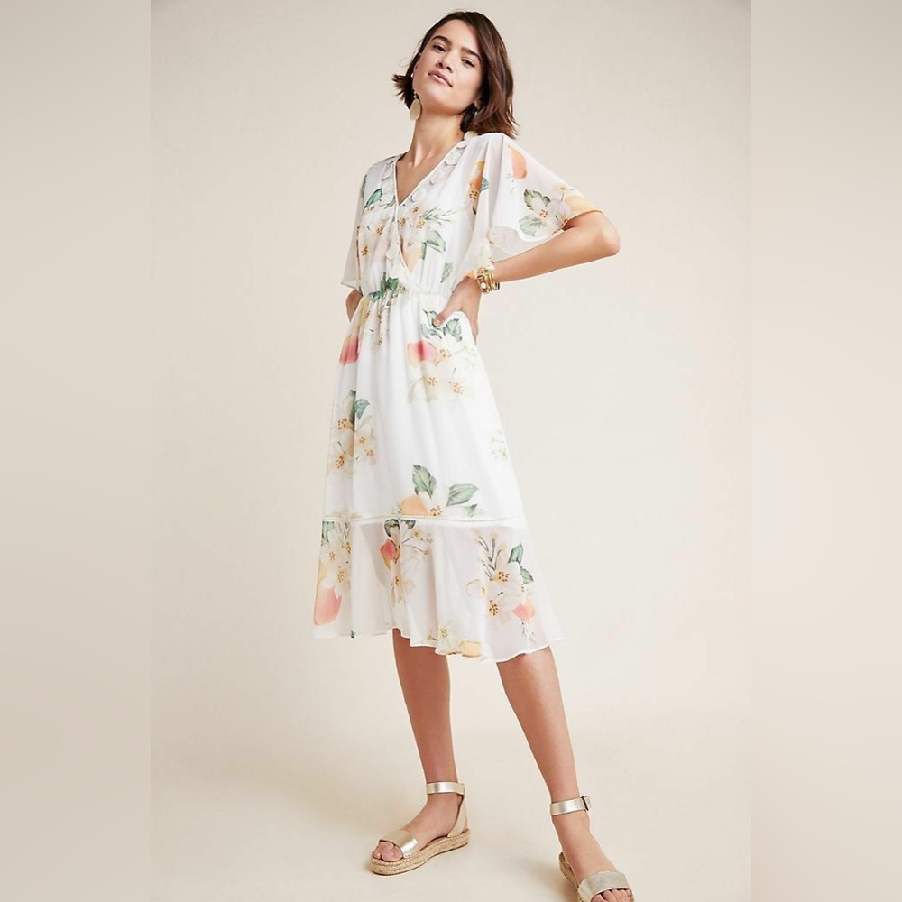 Farm Rio Eloisa Floral Sheer Dress NWOT - Picture 14 of 15